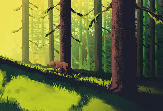 Bear&Moose Collection Panel #4