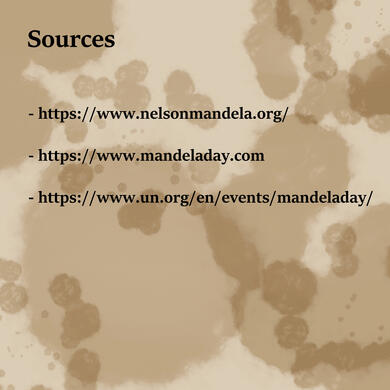 Nelson Mandela Graphic 6