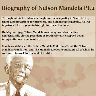 Nelson Mandela Graphic 3